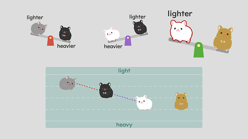 2023_�T�����I

